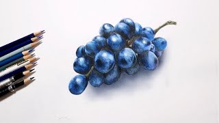 色鉛筆で巨峰を描いてみた Realistic colored pencil drawing of a