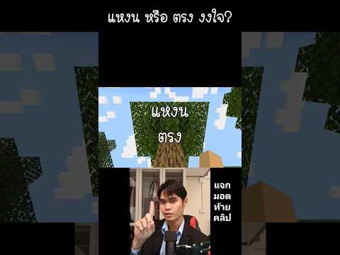 ทายซิว่ากำลังแหงนหน้าหรือมองตรง (แจกมอดท้ายคลิป)  - minecraft #minecraft #catzgamer #มายคราฟ