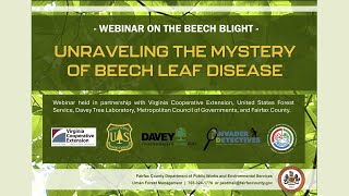 Beech Leaf Disease--Unraveling the Mystery