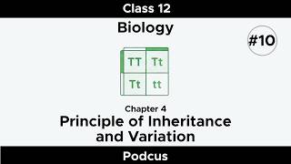| Principle of Inheritance and Variation | Class 12 Biology Chapter 4 | Oneshot overview |