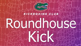 5. Roundhouse Kick