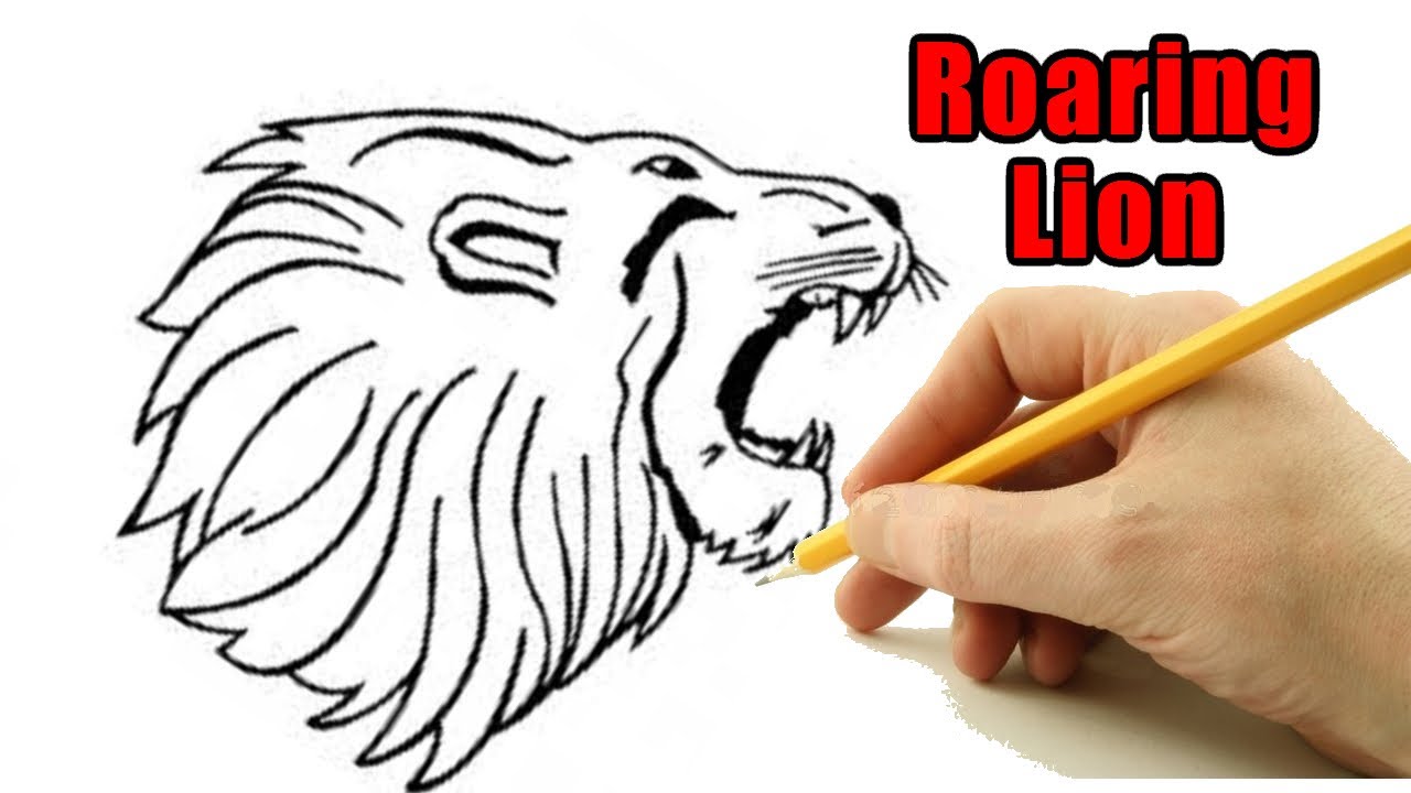 How to Draw a Lion Head Roaring Easy Outline Drawing: Step by Step Sketch  Tutorial for Beginners 