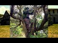 サムネがわかりにくくてごめん ギリースナイパーが木に登り遠距離狙撃を決める動画です