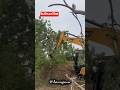SANY Excavator Tree Cutting Working 🔥 Heavy Machine Power 💪 #shorts