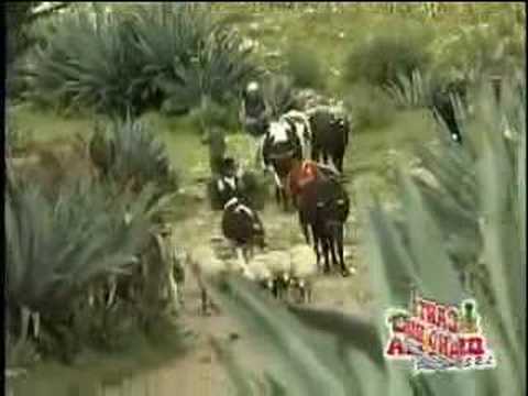 MARIA VELASQUEZ - La mecanica del folklor