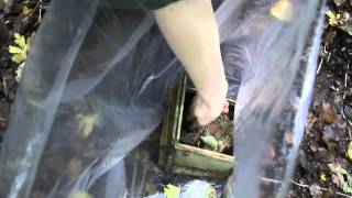 A guide to checking a dormouse nest box