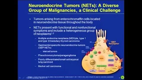 Dr. Hal Gerstein on Neuroendocrine Cancer- NCAN Patient Conference
