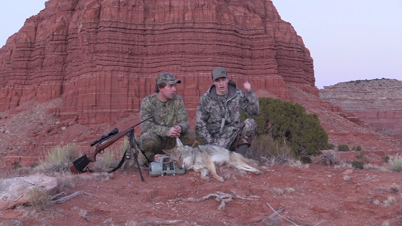 Coyote Hunting Arizona Episode #6