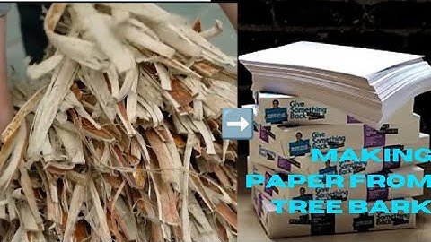 Method of making paper from tree bark