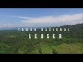 GUNUNG LEUSER NATIONAL PARK, SAY NO TO "MANI GAJAH"- PERFECT NOTES RIZKY HASAN DI MENAPAKI INDONESIA
