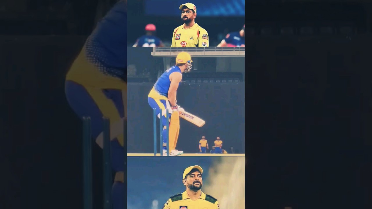 Ms Dhoni Ipl 2023 Status 