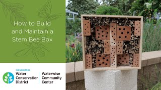 Creating and Maintaining Stem Bee Boxes | DIY Native Pollinator Habitat Project