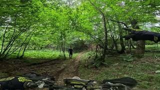 Little hill out of the trails