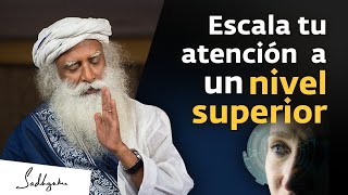 Cómo mejorar la concentración | Sadhguru