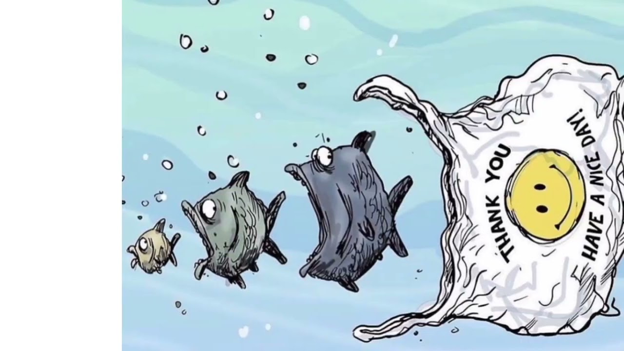 World paper bag day.