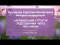 Лузгинова С.В. «Активизация структур подсознания через КФС «ИНКИ» 24.04.20