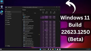 New Windows 11 Build 22623.1250 | Beta | Task Manager Changes and New Option, Search and Fixes