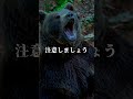 木にこの跡があったら逃げろ！！#心霊 #shorts #怖い話 #都市伝説