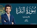 سورة البقرة لرقية المنزل وزيادة الرزق والبركة صوت خاشع معاذ صيام