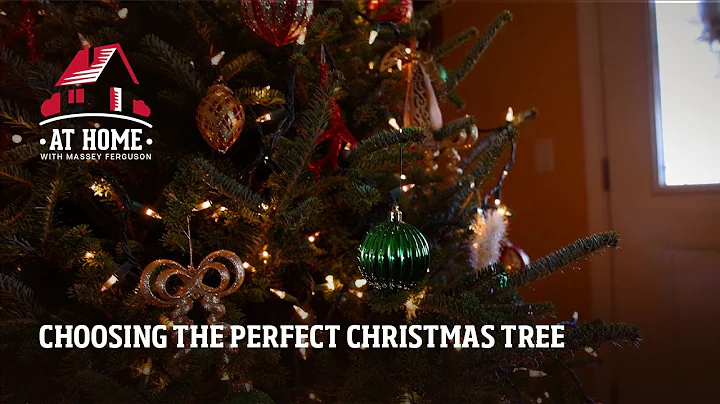 Choosing The Perfect Christmas Tree | At Home With Massey Ferguson