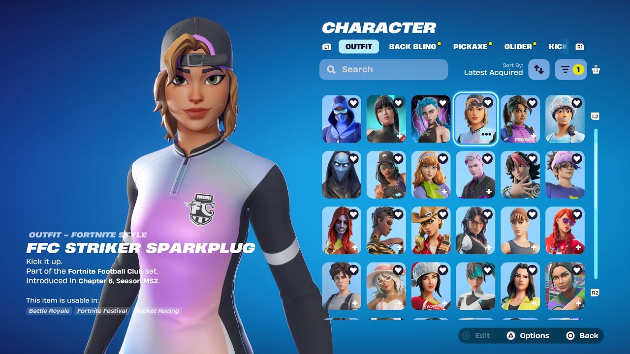 2025 Fortnite Locker Tour After One Year Of Playing