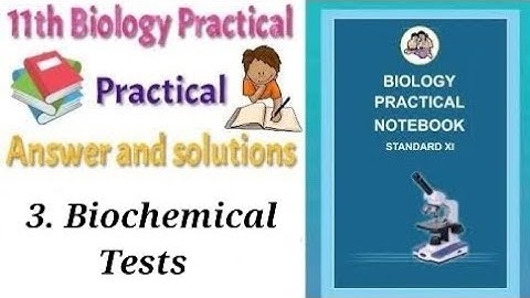 11th Biology Practical 3- Biochemical Tests