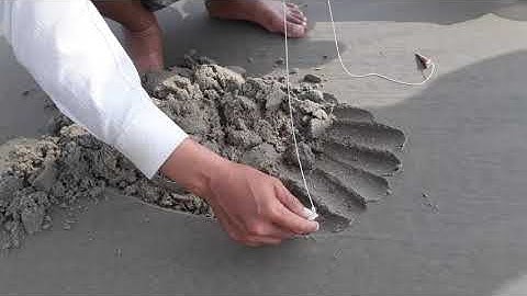 Câu tôm tít bằng vỏ ốc - How to catch mantis shrimp | Vũng Tàu 29.12.2019