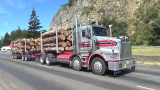 Trucks in and out of Port Napier, New Zealand Jan 2022 P-3