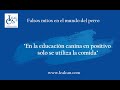 Mito 55. &quot;En la EDUCACIÓN CANINA EN POSITIVO solo se utiliza la comida&quot; | LealCan Adiestramiento