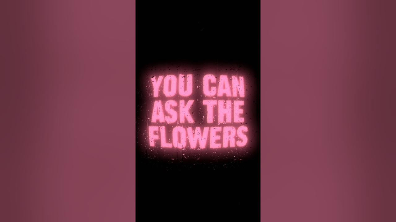 Pretty Little Baby π | Connie Francis β viral song |Aesthetic lyrics |#shorts #lyrics Pretty Little Baby π | Connie Francis β viral song |Aesthetic lyrics |#shorts #lyrics