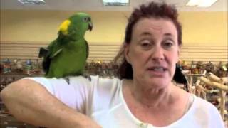 Parrot Planet Coming To East Sacramento