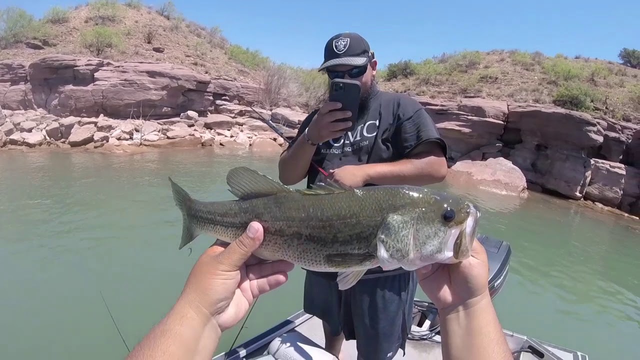 Boat bass fishing part 2 