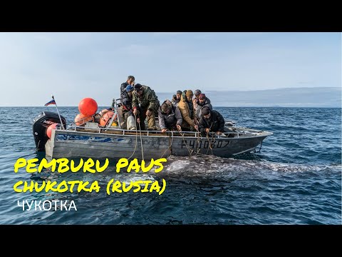 Video: Di laut mana sungai Anadyr mengalir. Sungai Anadyr: deskripsi