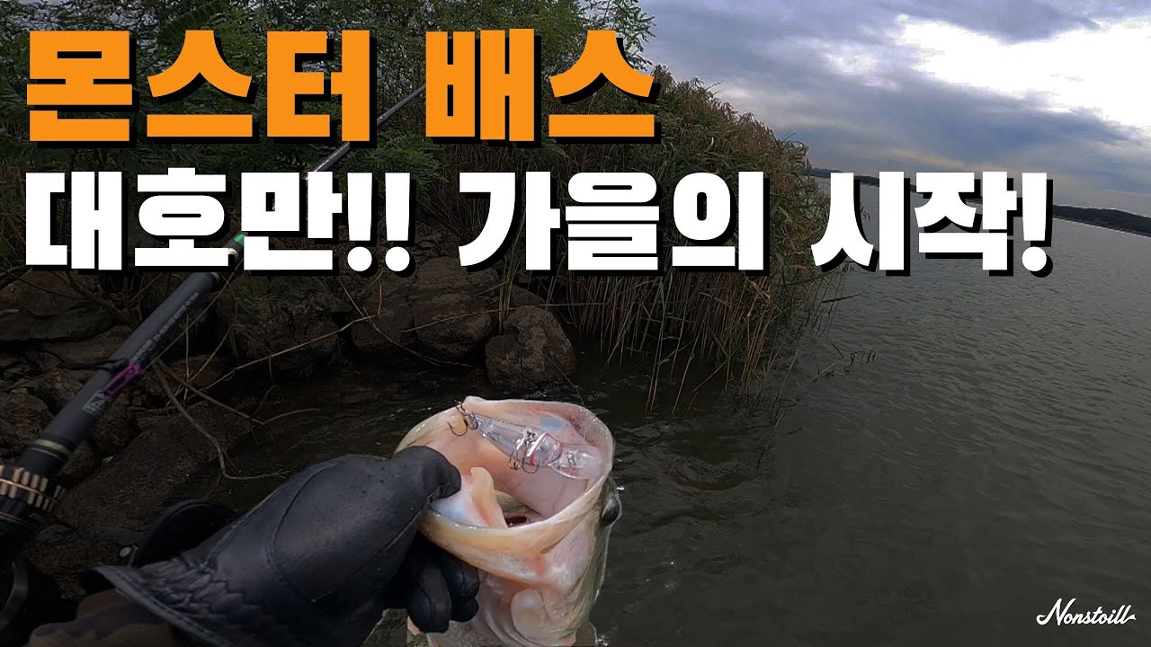 가을 대호만 배스 낚시 포인트 공개~! 던지고 감으면 덥썩!!!!