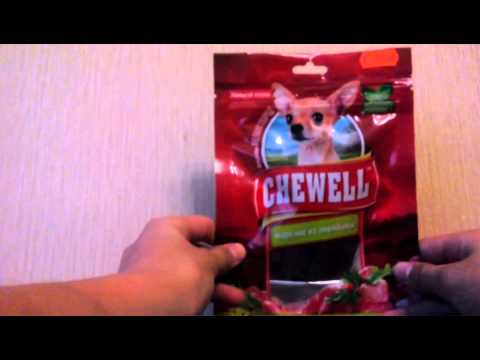 Покупки из зоомагазина для кошки и собаки🐱🐶