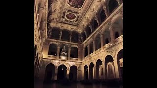 🚨Join the waitlist now for Enlightenment: An Immersive Vivaldi Light Show and get 15% OFF!