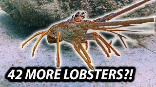 DAY 2 Is ALWAYS Harder… Can We Catch 42 Lobsters?! 🦞 | Florida Keys