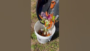 How to Start Composting