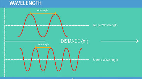 Wave Motion | Waves | Physics | FuseSchool