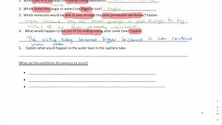 PART 9 - Diffusion & Osmosis