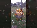 beautiful girl looking at dancing mouse #canddy #satisfying #dancingmouse #dancevideo #funnycute