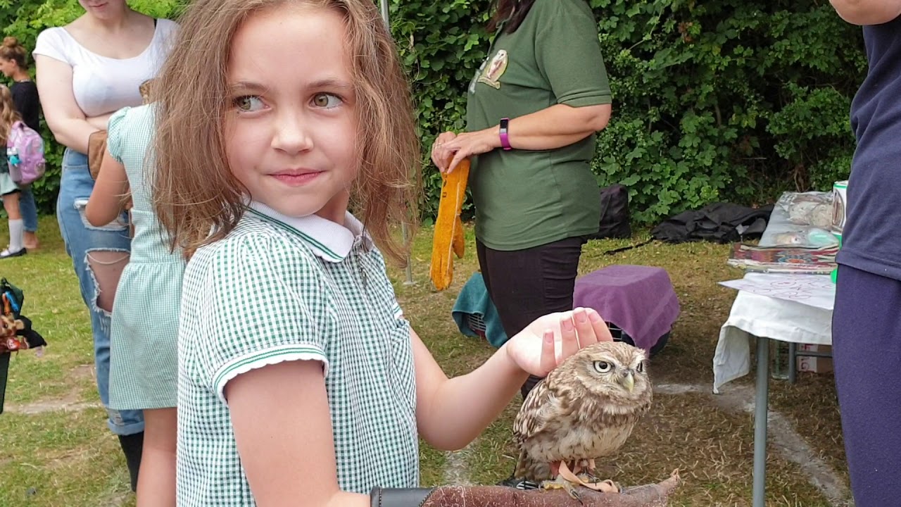 Ivy Holding An Owl On Her First Day In Year 3