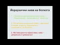 Видове, компоненти и йерархични нива на болката