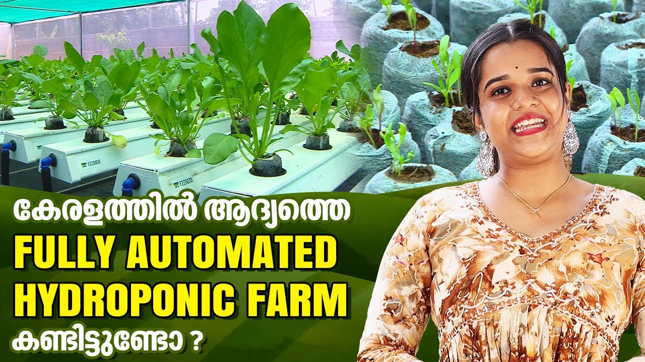 കേരളത്തിൽ ആദ്യത്തെ ഫുള്ളി ഓട്ടോമാറ്റിക് ഹൈഡ്രോപോണിക് ഫാം കണ്ടിട്ടുണ്ടോ....?  | Agri Tech | EP 04
