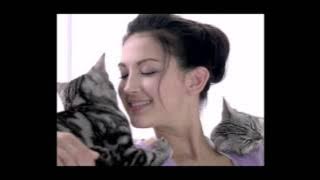 Download lagu Whiskas: 100% Kucing Suka!