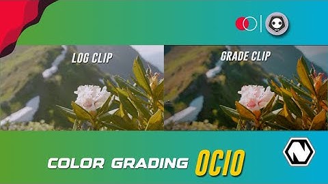 💐🌷🧘‍♂️COLORGRADING FLOWER & HILL WITH NATRON VFX OCIO