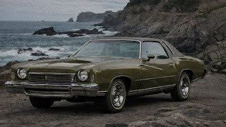 Career Overview What the 1973 Chevrolet Monte Carlo Hides: Surprising Details of the Legendary Coupe