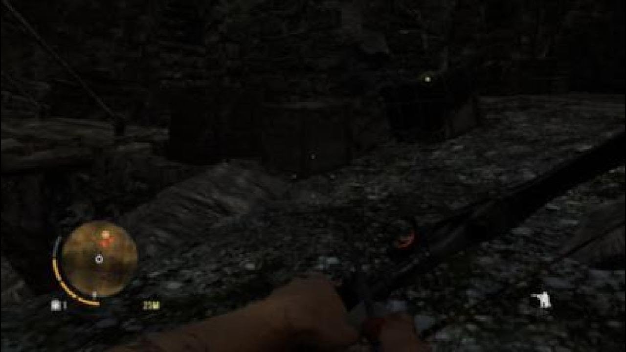 FarCry 3 Pt 8