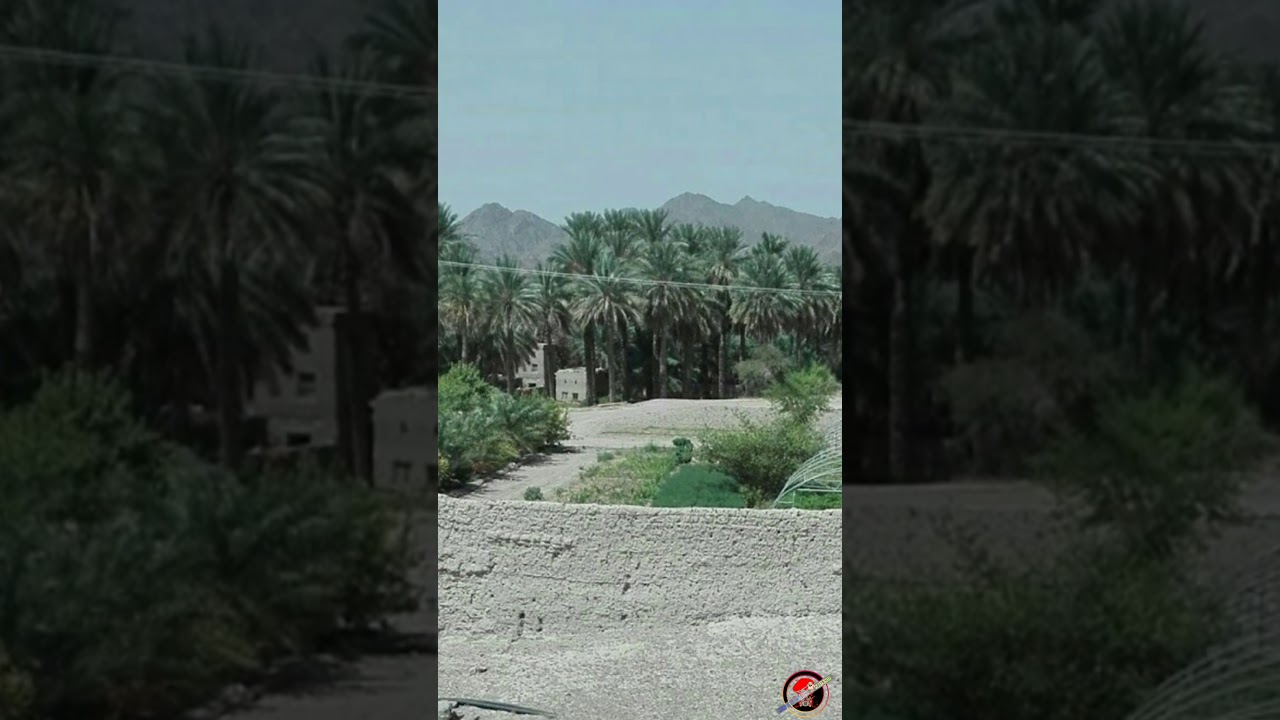 Oman (the mystical wall of Bahla)