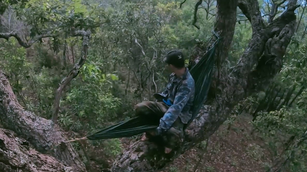 ผูกเปล บนต้นไม้ เจอเหตุการณ์แปลกๆ 